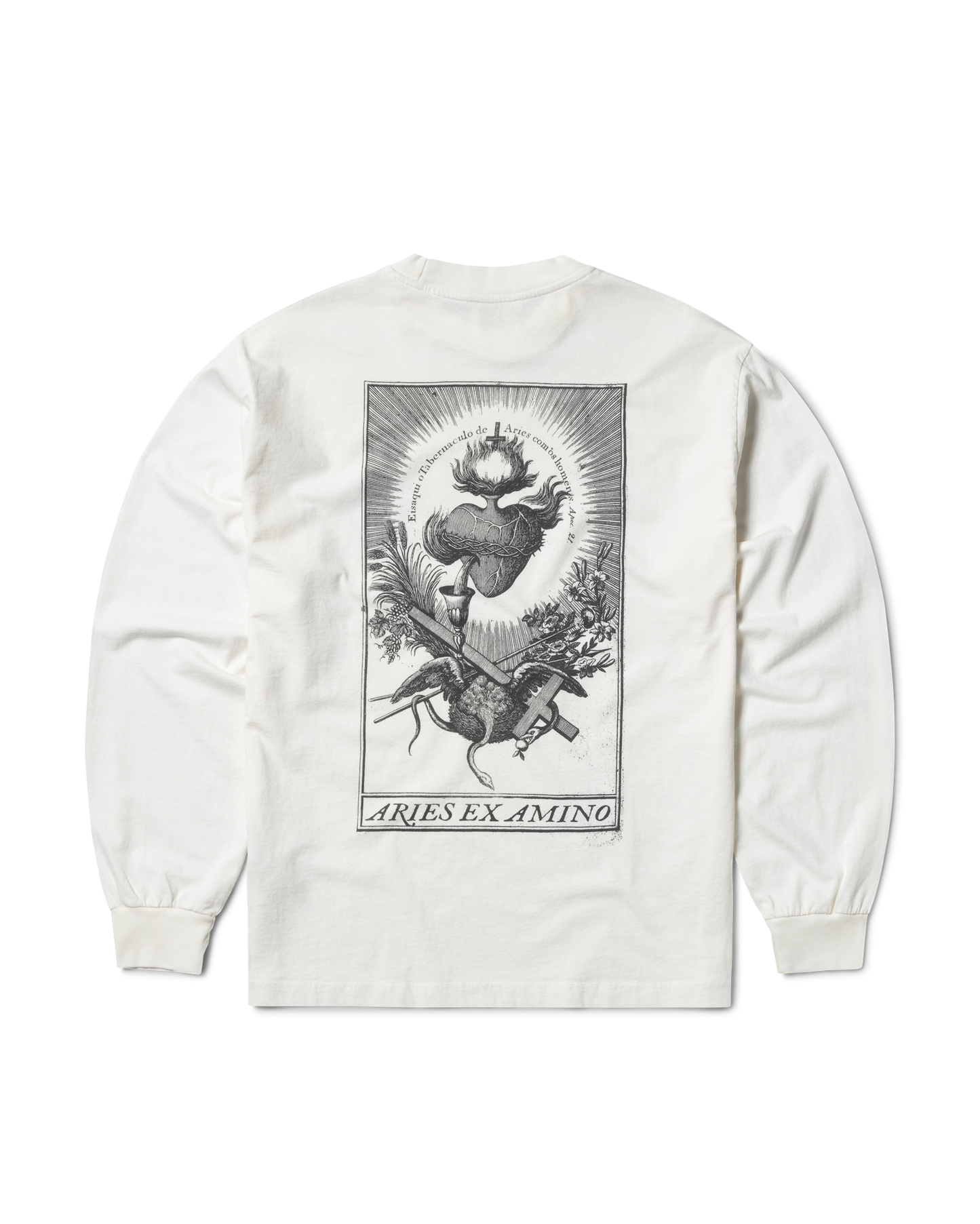 Faded Aries Ex Amino LS Tee