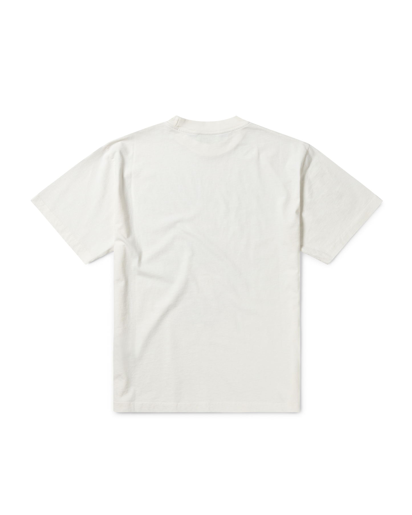 Faded Aries Ex Amino SS Tee