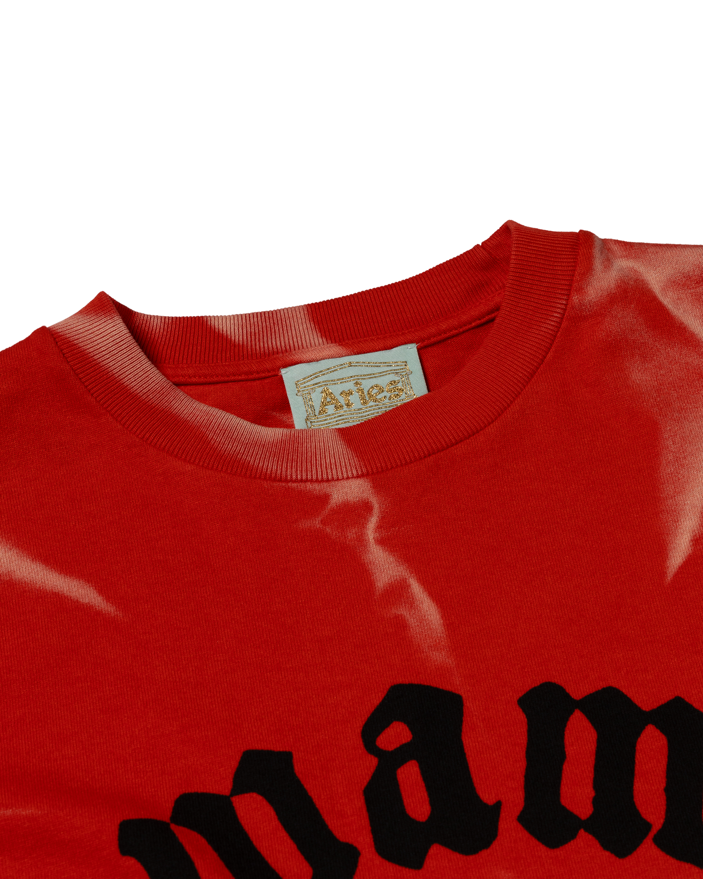 Rag Dye Swamp Queen LS Tee