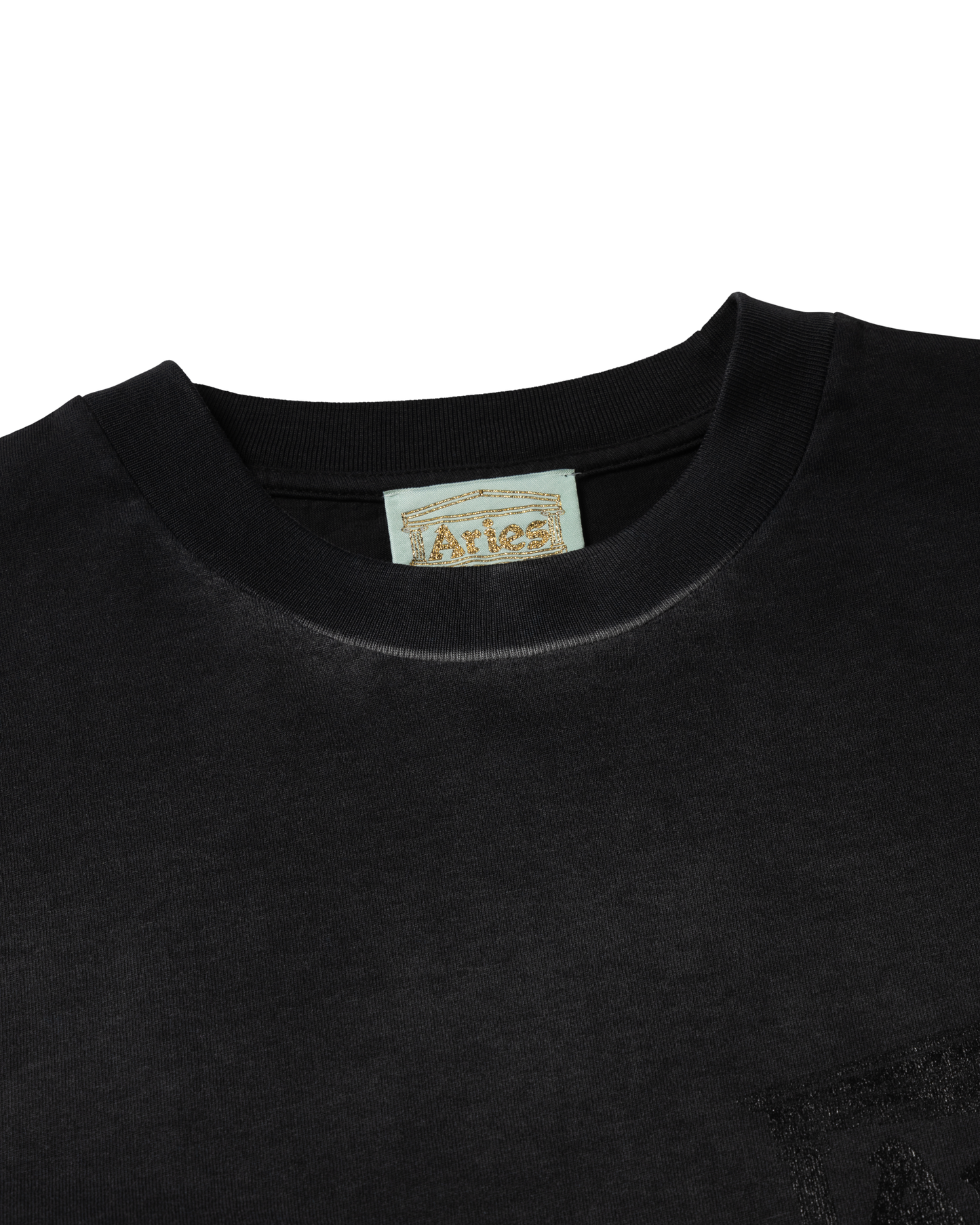 Sunbleached Ancient Temple SS Tee