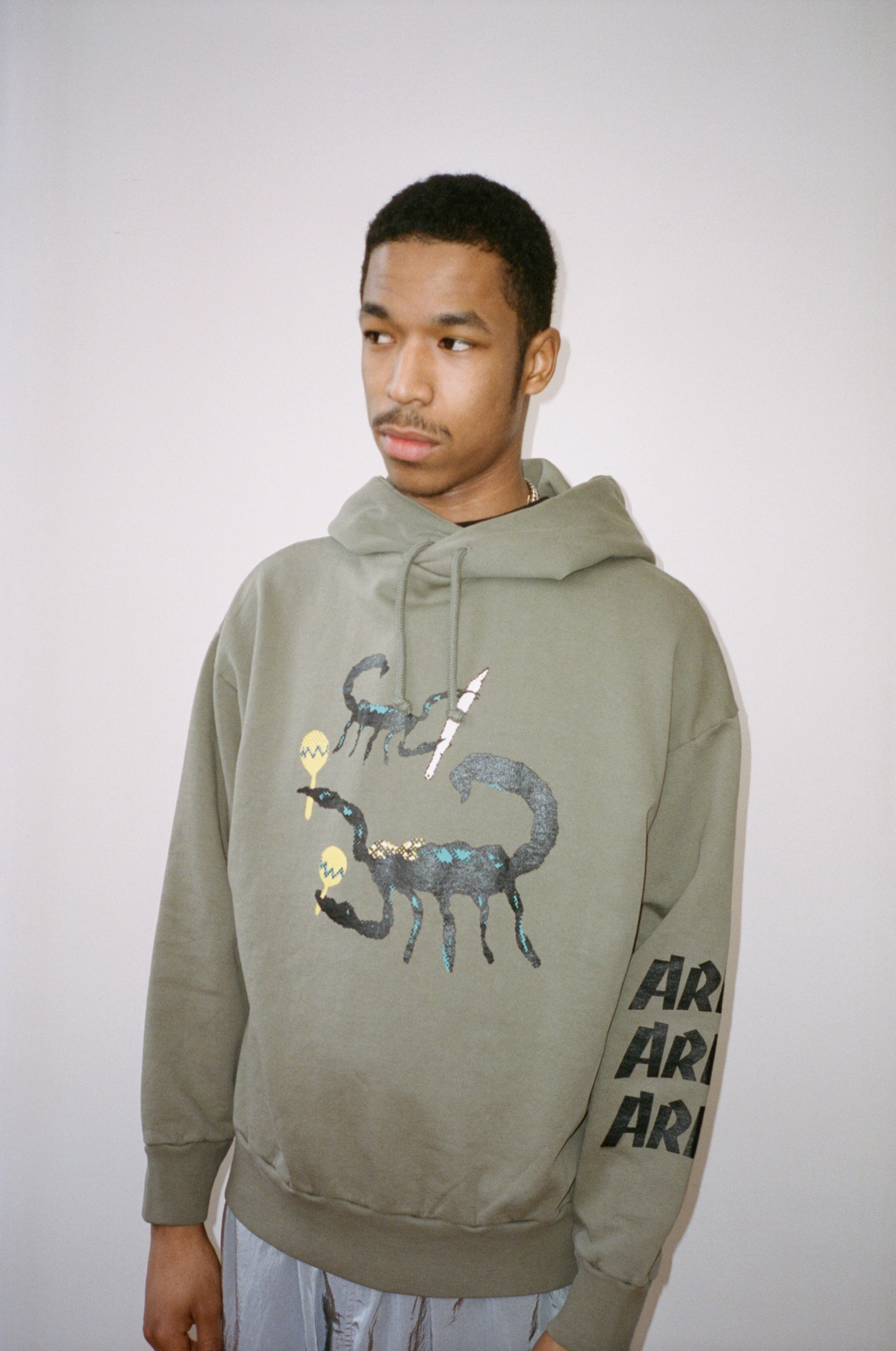 Load image into Gallery viewer, Scorpion Hoodie