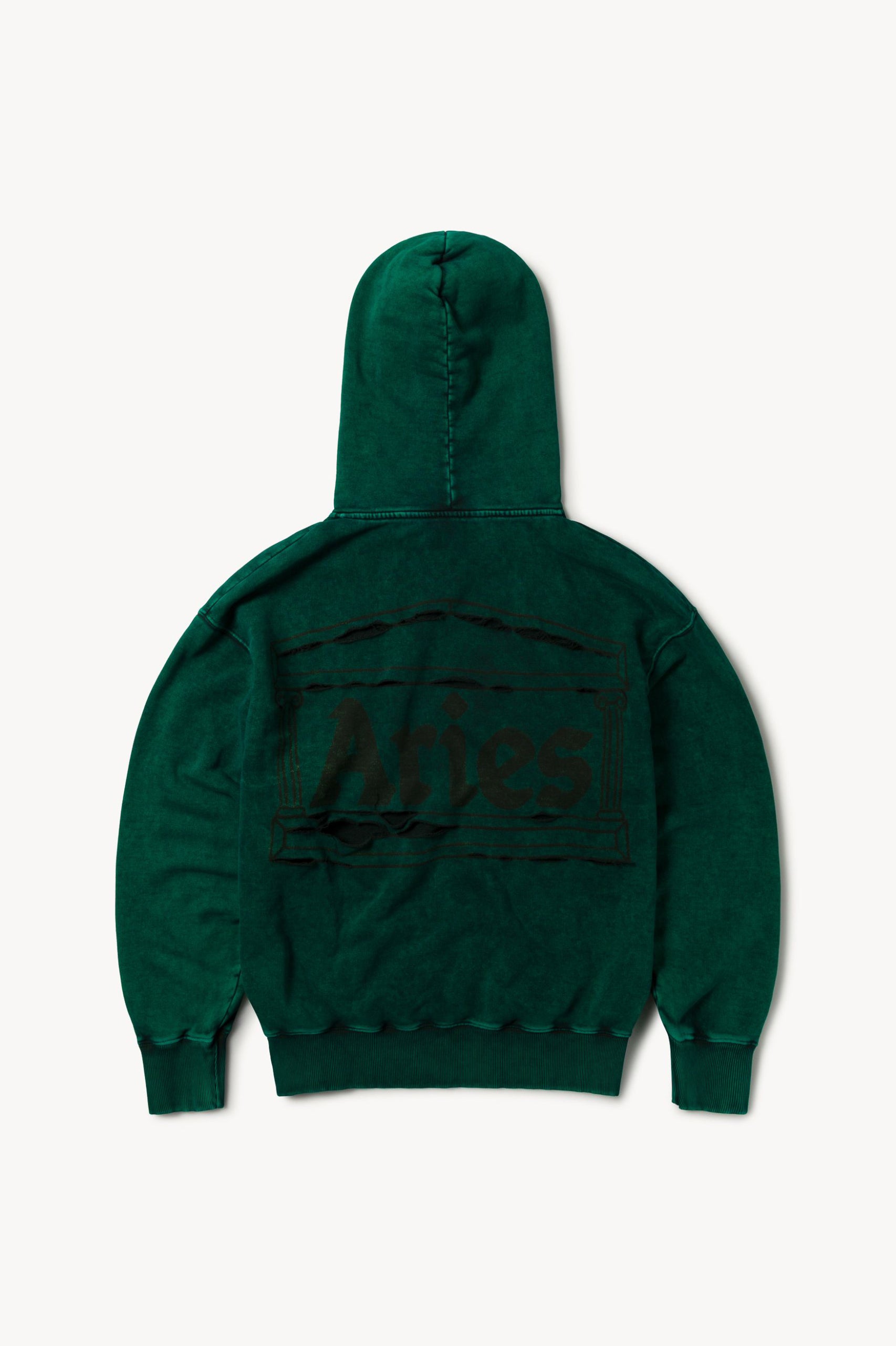 Load image into Gallery viewer, Destroyed Temple Hoodie