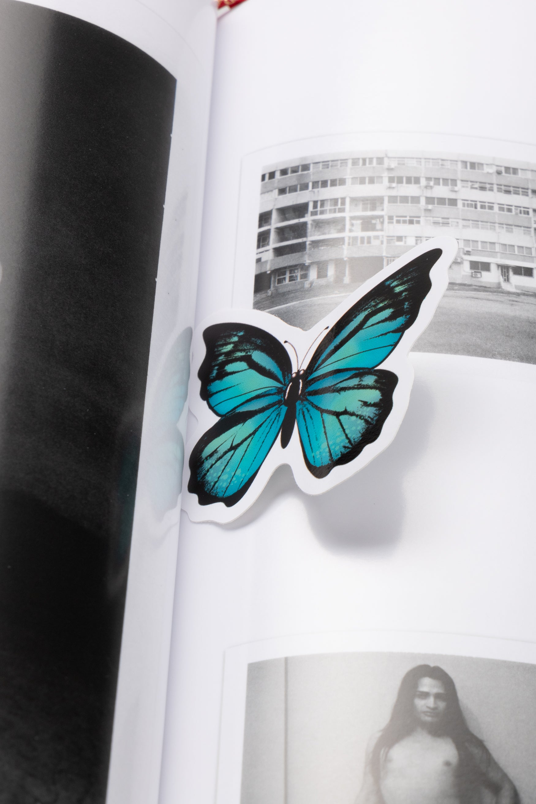 Load image into Gallery viewer, Butterfly Book