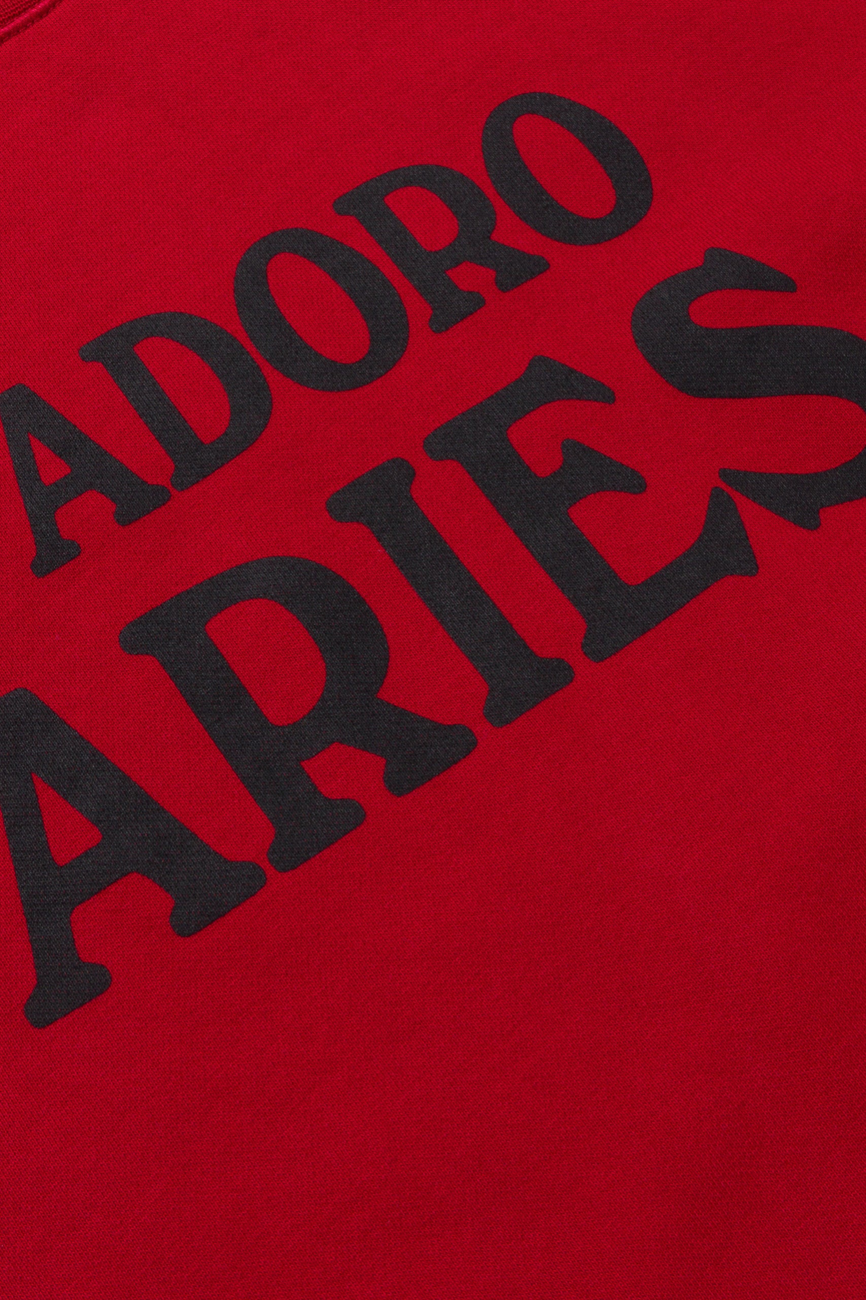 Load image into Gallery viewer, J&#39;Adoro Aries Sweat - Baby