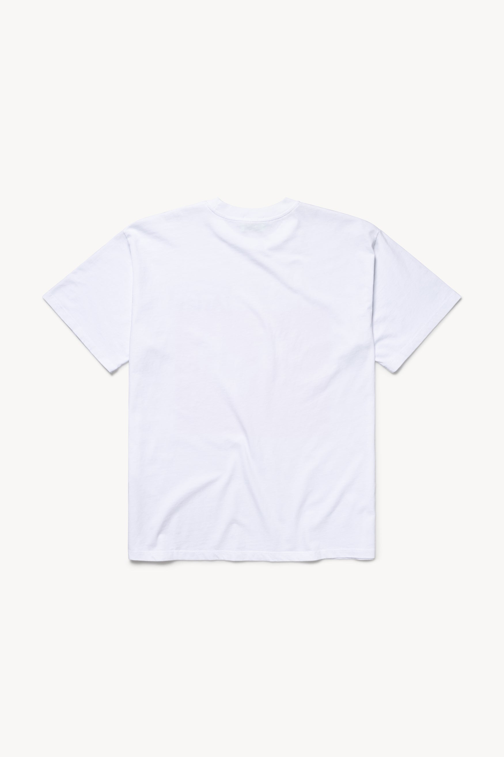Load image into Gallery viewer, Drenched Cat Tee