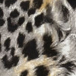 Leopard Batten Jean